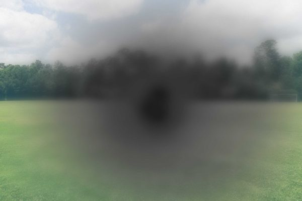 Macular degeneration - what somebody see's loss of central vision - Dolphins Optometrist